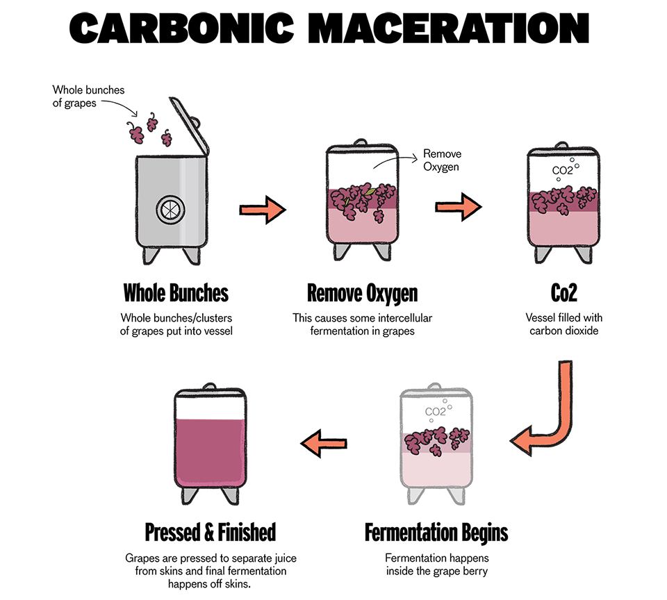 Carbonic Winemaking Chart
